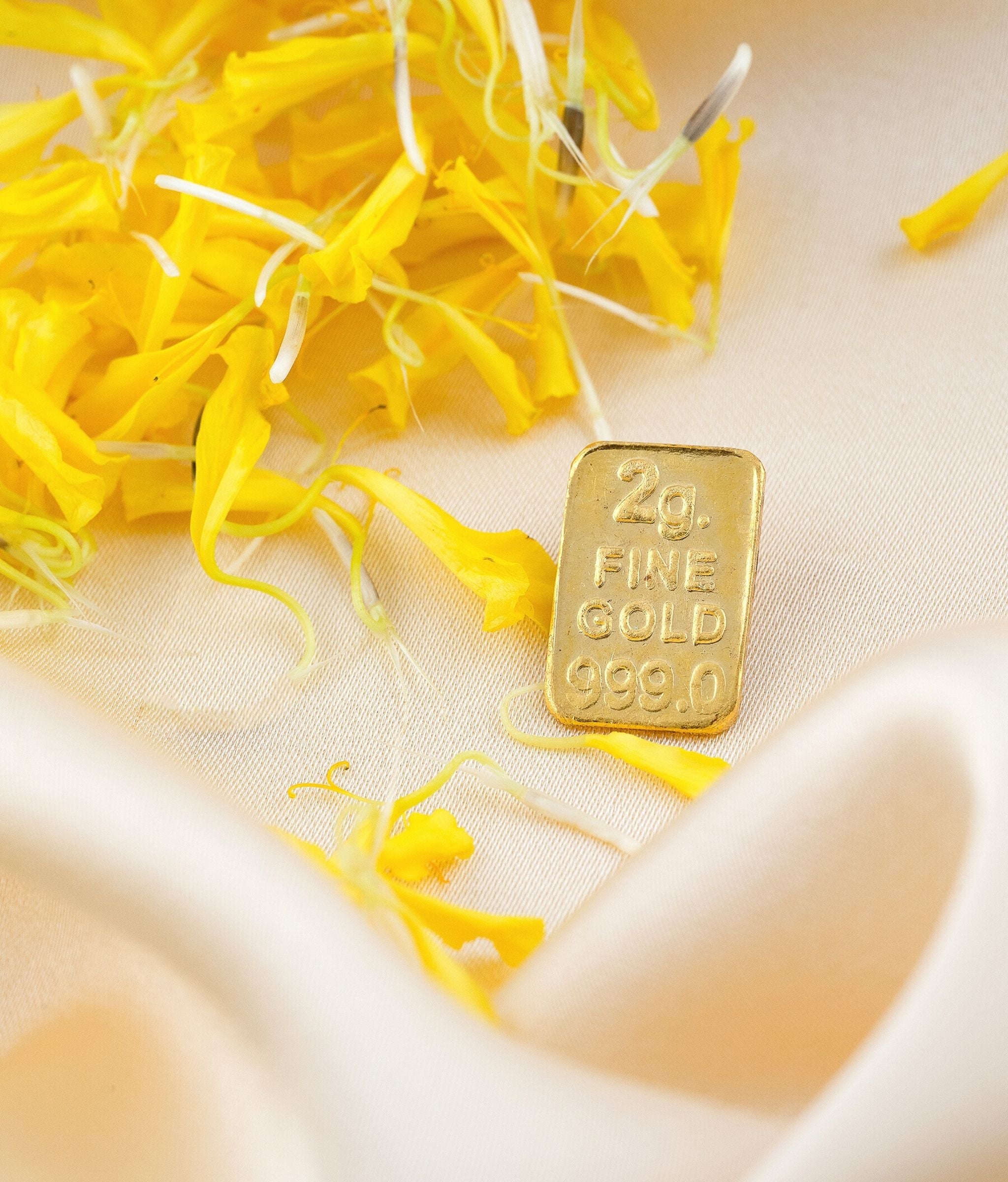 2 Gram 24 Karat Gold Coin