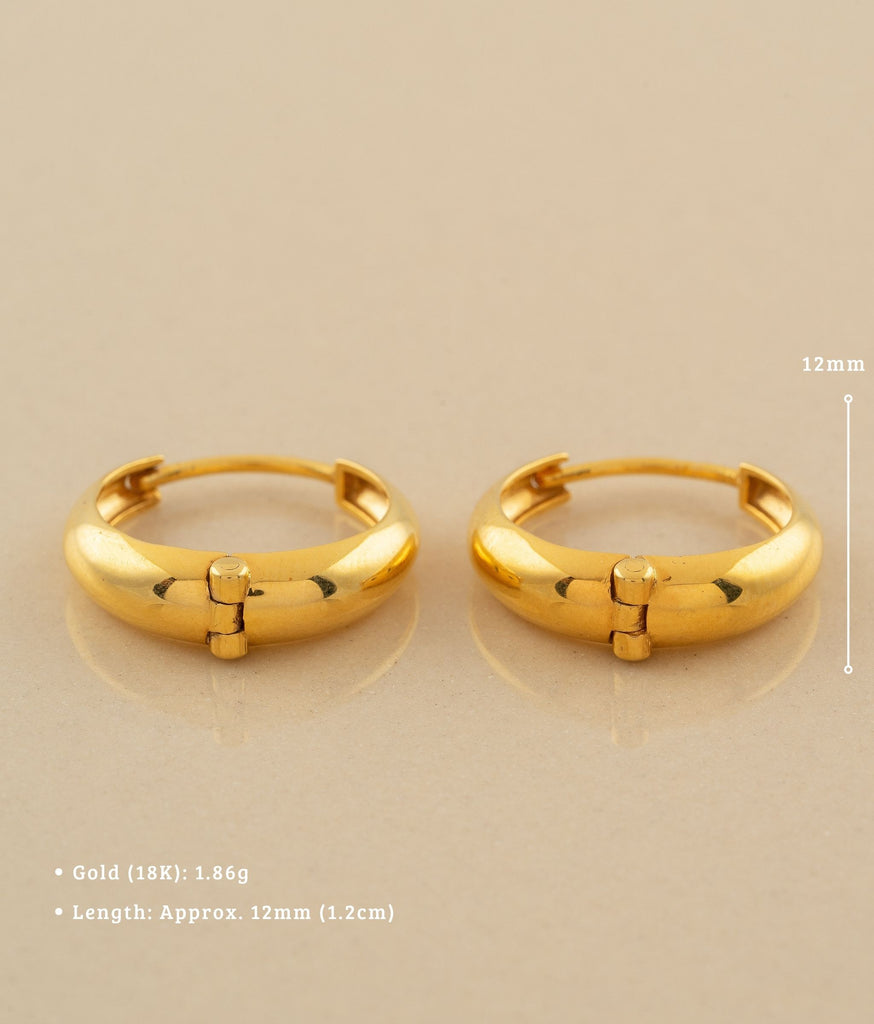 Aarna 18kt Gold Earrings